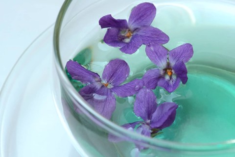 Violet tea