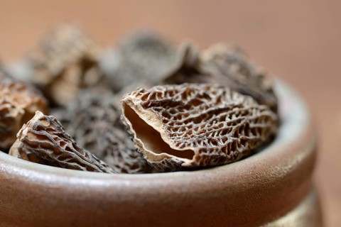 Dried morels in shell