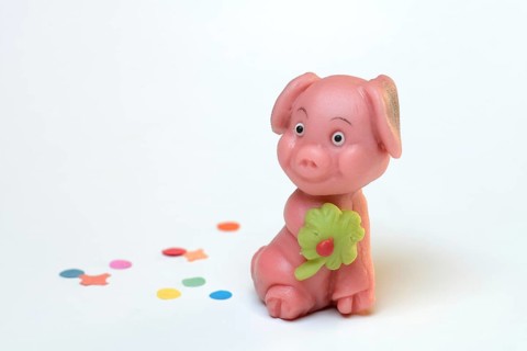Marzipan lucky pig