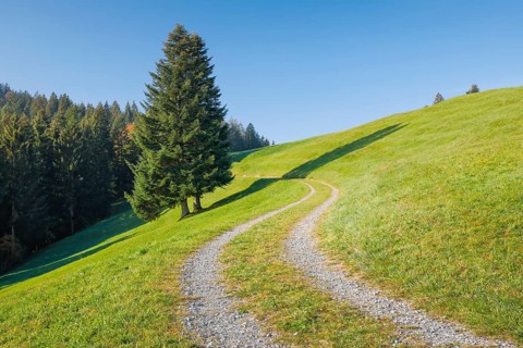 Field path on the Ratenpass
