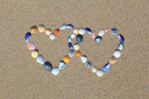 Shells forming double heart shape