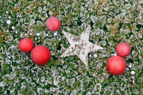 Natural outdoor Christmas decoration