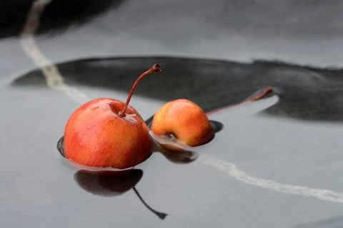 Two decorative apples in water