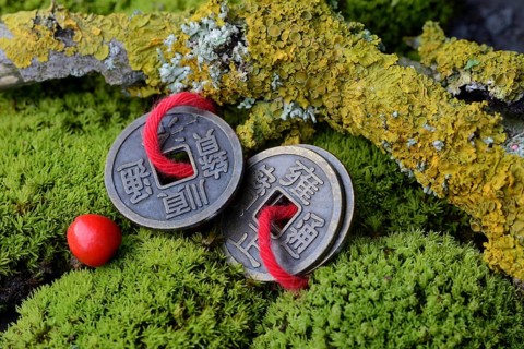 Chinese lucky coins in moss and twig with lichen