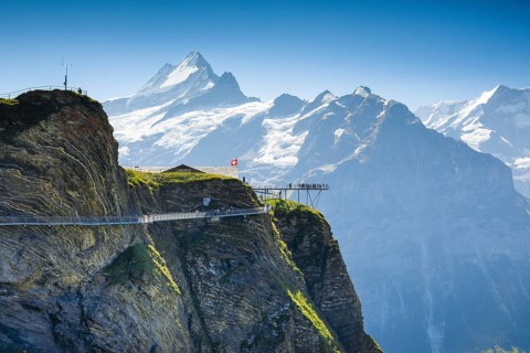 Schreckhorn