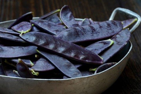 Violet pods