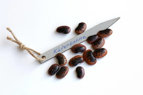 Runner Beans