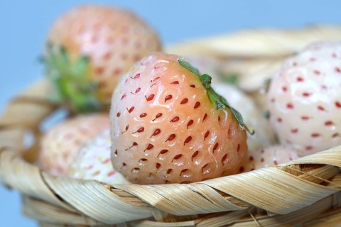 White strawberries in basket