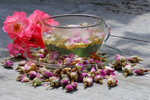 Rose tea in cup and rose buds
