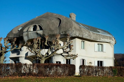 Residential house