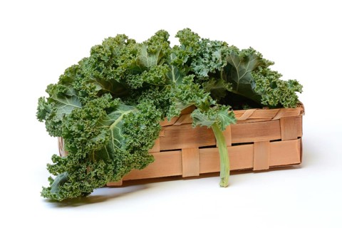 Brassica oleracea in spankorb