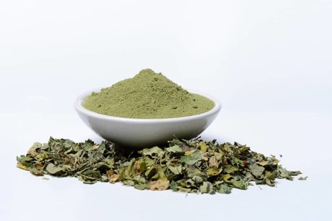 Moringa powder in bowl and moringa leaves