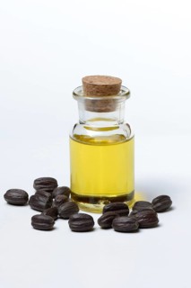 Jojobaoil and seeds