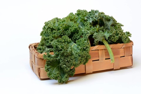 Brassica oleracea in spankorb