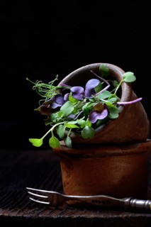 Microgreen