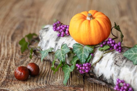 Autumnal decoration
