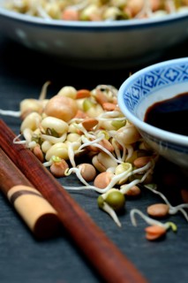 Mixed sprouts of lentils