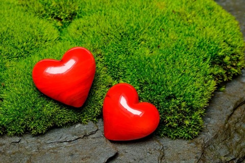 Hearts on moss cushion