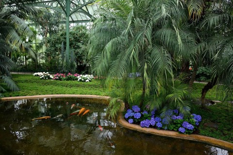 Palm House