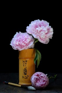 Chinese peony