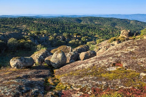 Typical landscape in Sierra de Andujar National Park