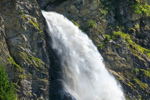 Staeubifall