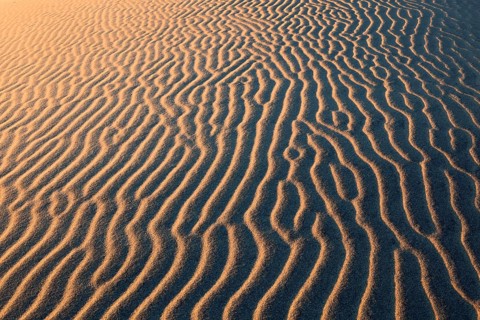 Mesquite Flats Sand Dunes