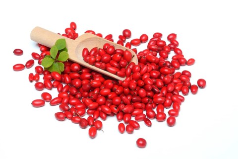 Barberry berries