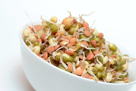 Mixed sprouts of lentils