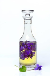 Wood violet