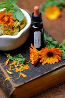 Marigoldstincture and blossoms