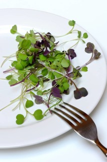 Microgreen