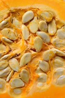 Pumpkin seeds