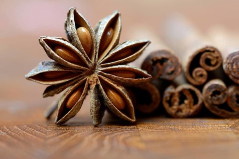 Fruit of star anise and cinnamon sticks