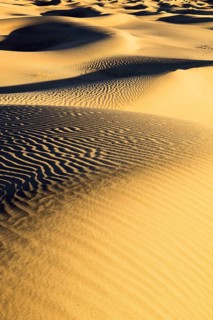 Mesquite Flats Sand Dunes