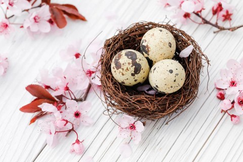 Easter decoration