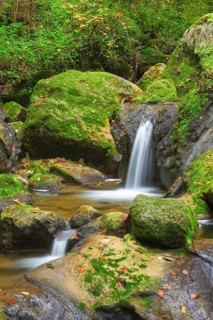 Twannbach Gorge