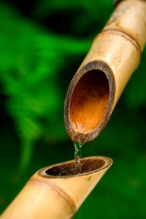 Japanese bamboo fountain