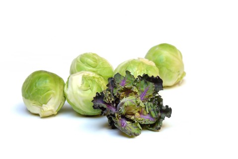 Flower Sprouts and Brussels sprouts