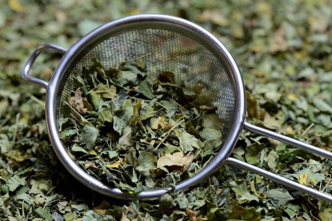 Moringa leaves in sieve