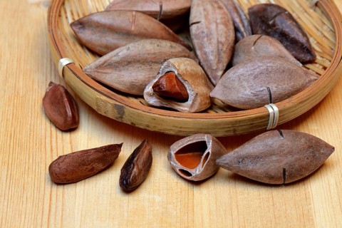 Pre-scored pilinuts in shell