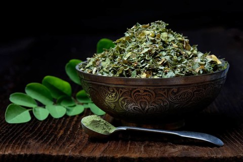 Moringa