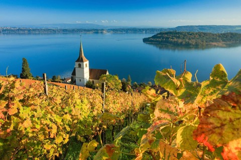 Ligerz on Lake Biel