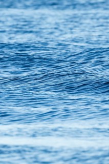 Blue sea with light swell