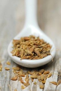 Aniseedseeds