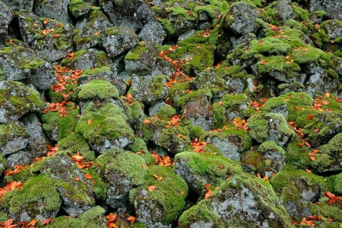 Basalt block field