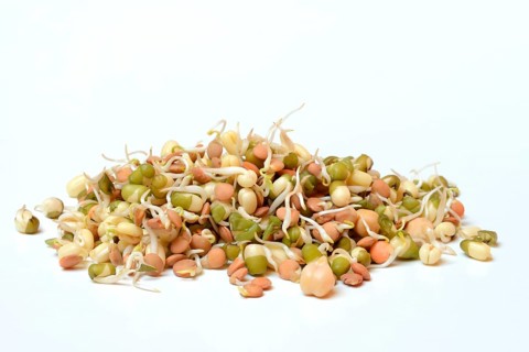 Mixed sprouts of lentils