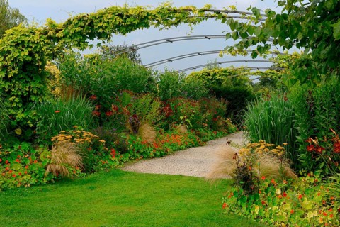 Pergola