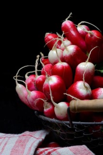Red-white Red Radish