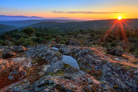 Typical landscape in the Sierra de Andujar National Park